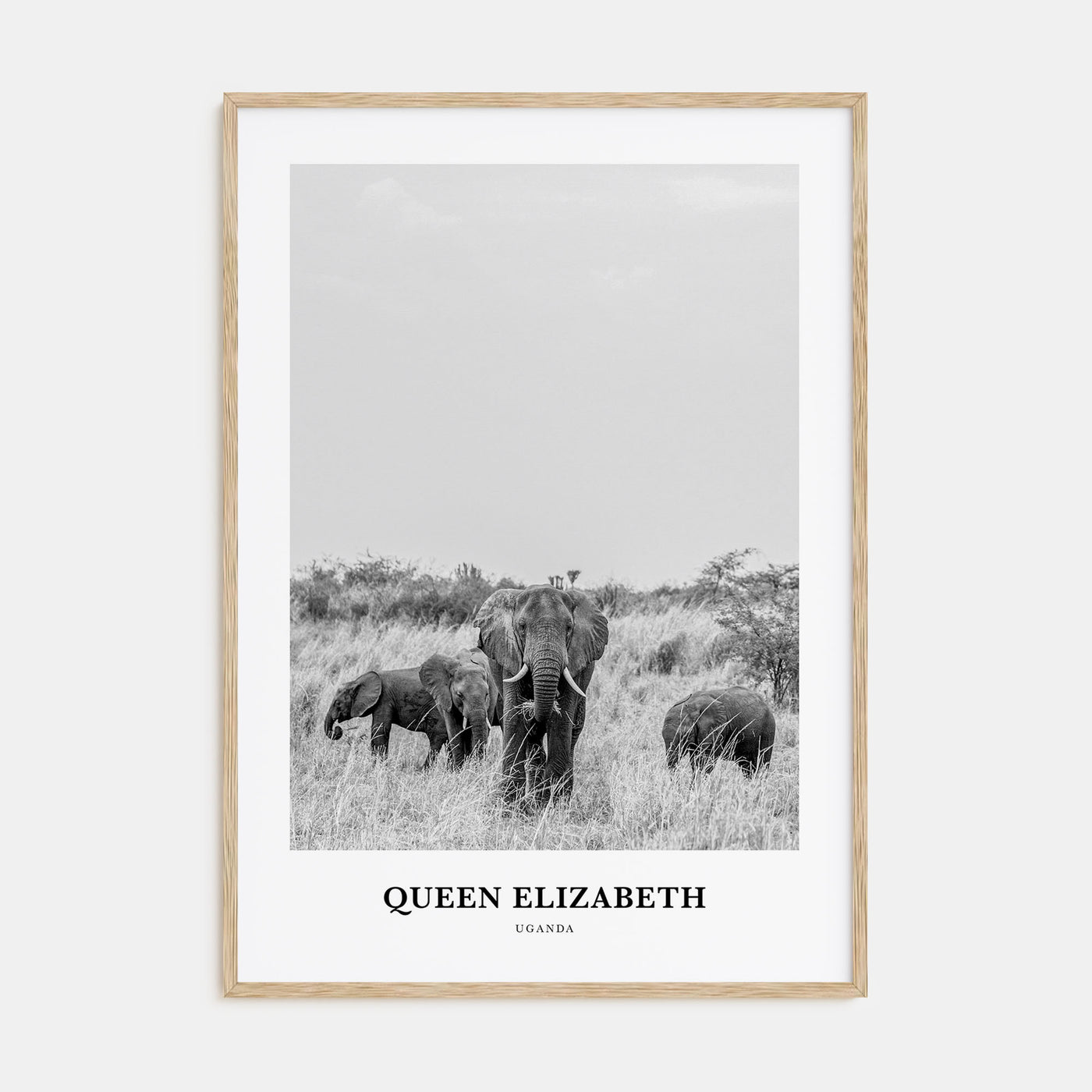 Queen Elizabeth National Park Portrait B&W Poster