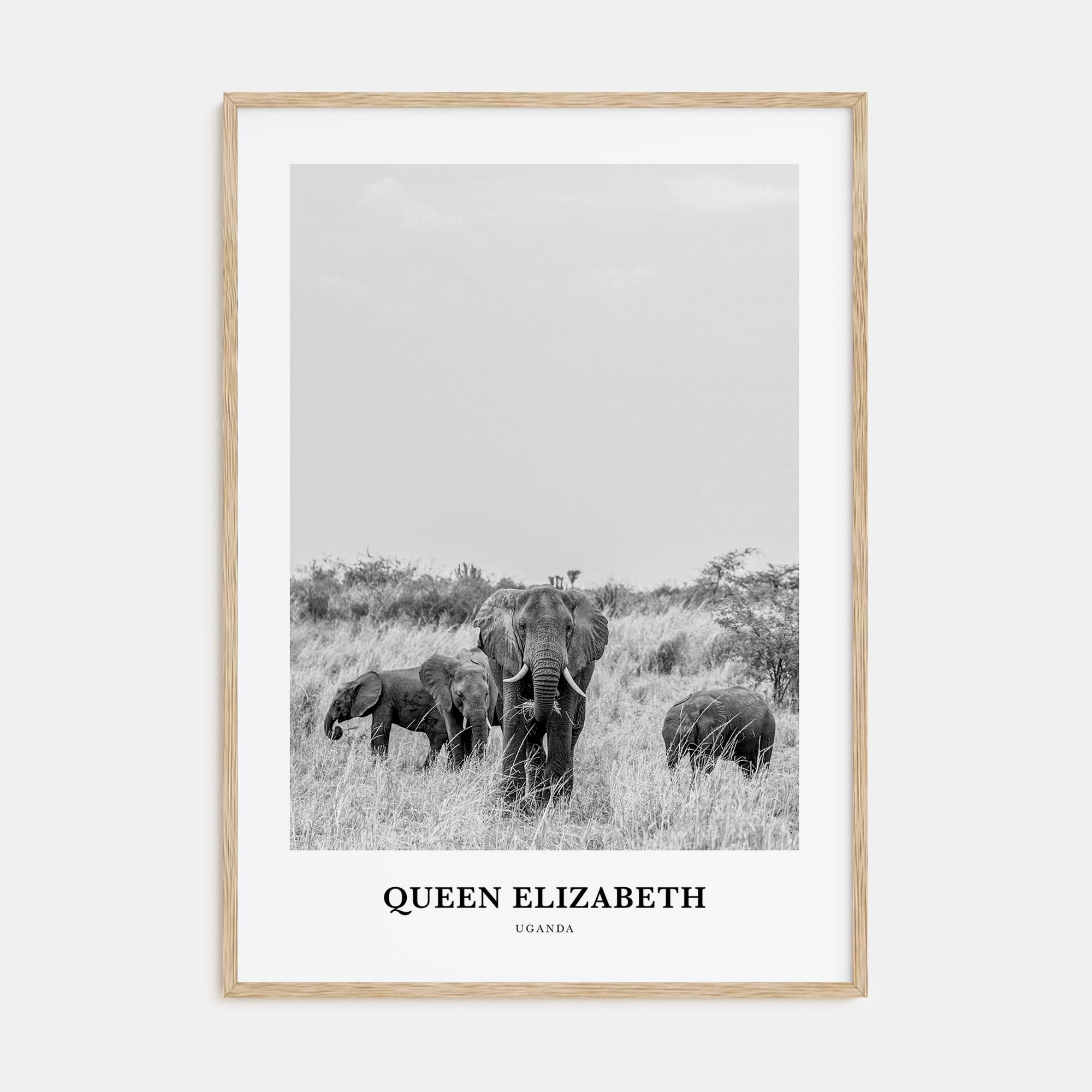Queen Elizabeth National Park Portrait B&W Poster