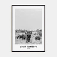 Queen Elizabeth National Park Portrait B&W Poster