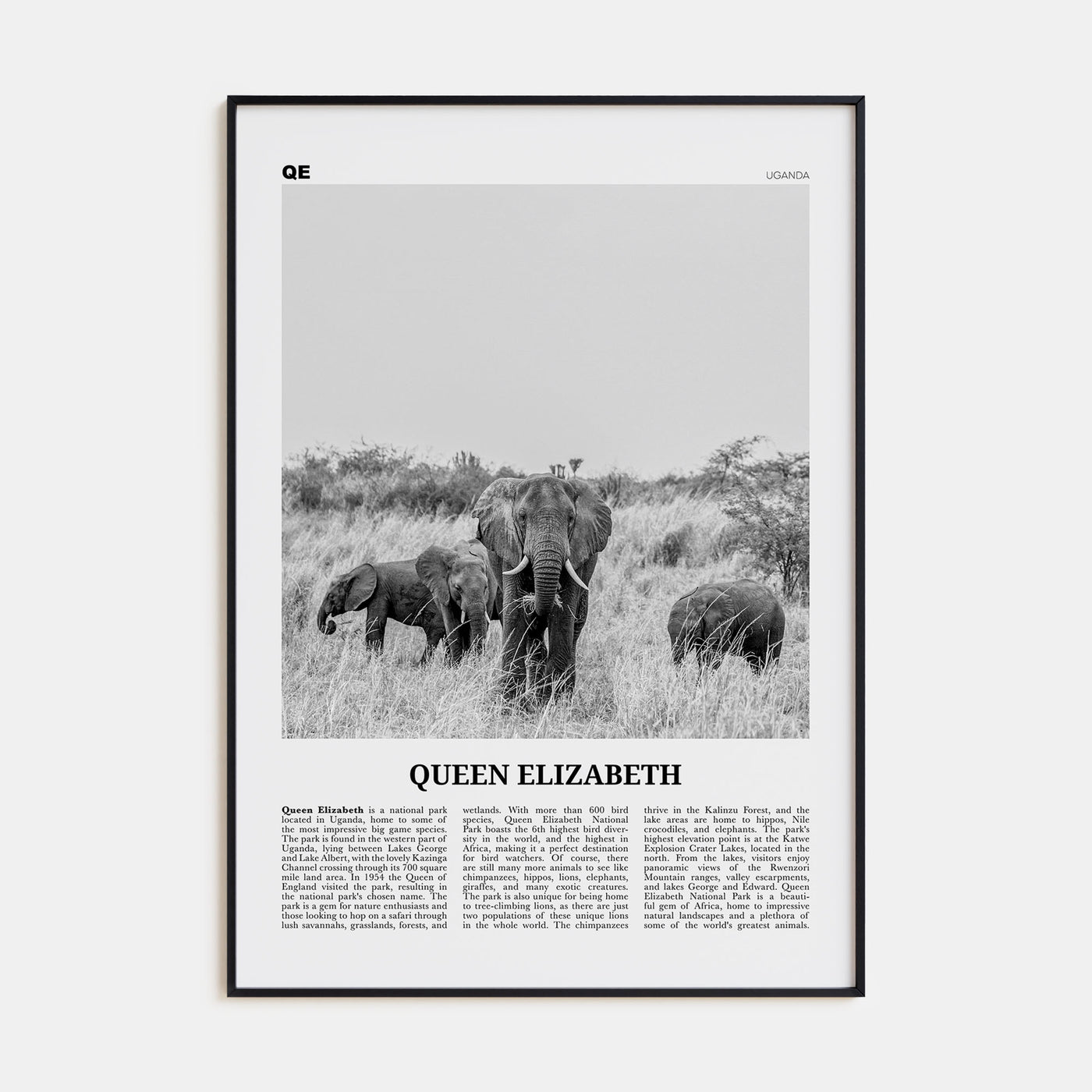 Queen Elizabeth National Park Travel B&W Poster