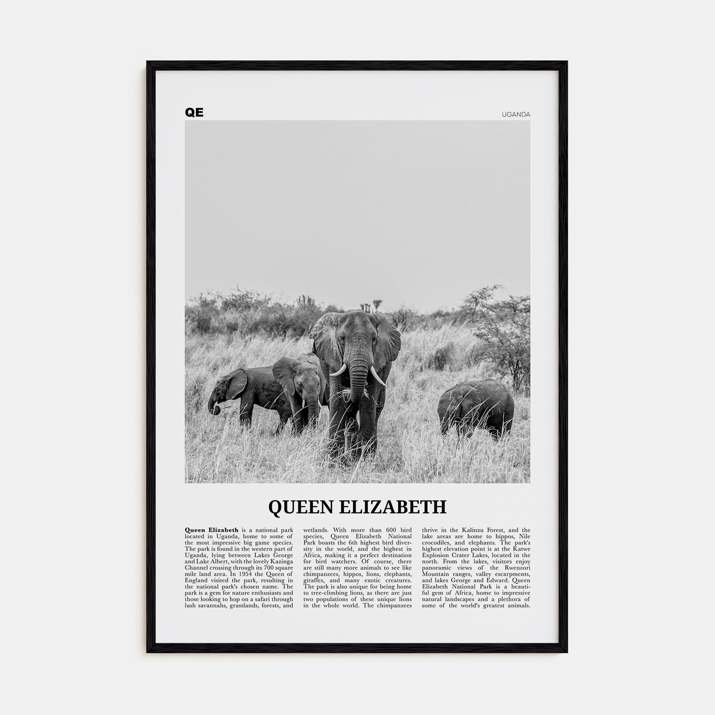 Queen Elizabeth National Park Travel B&W Poster