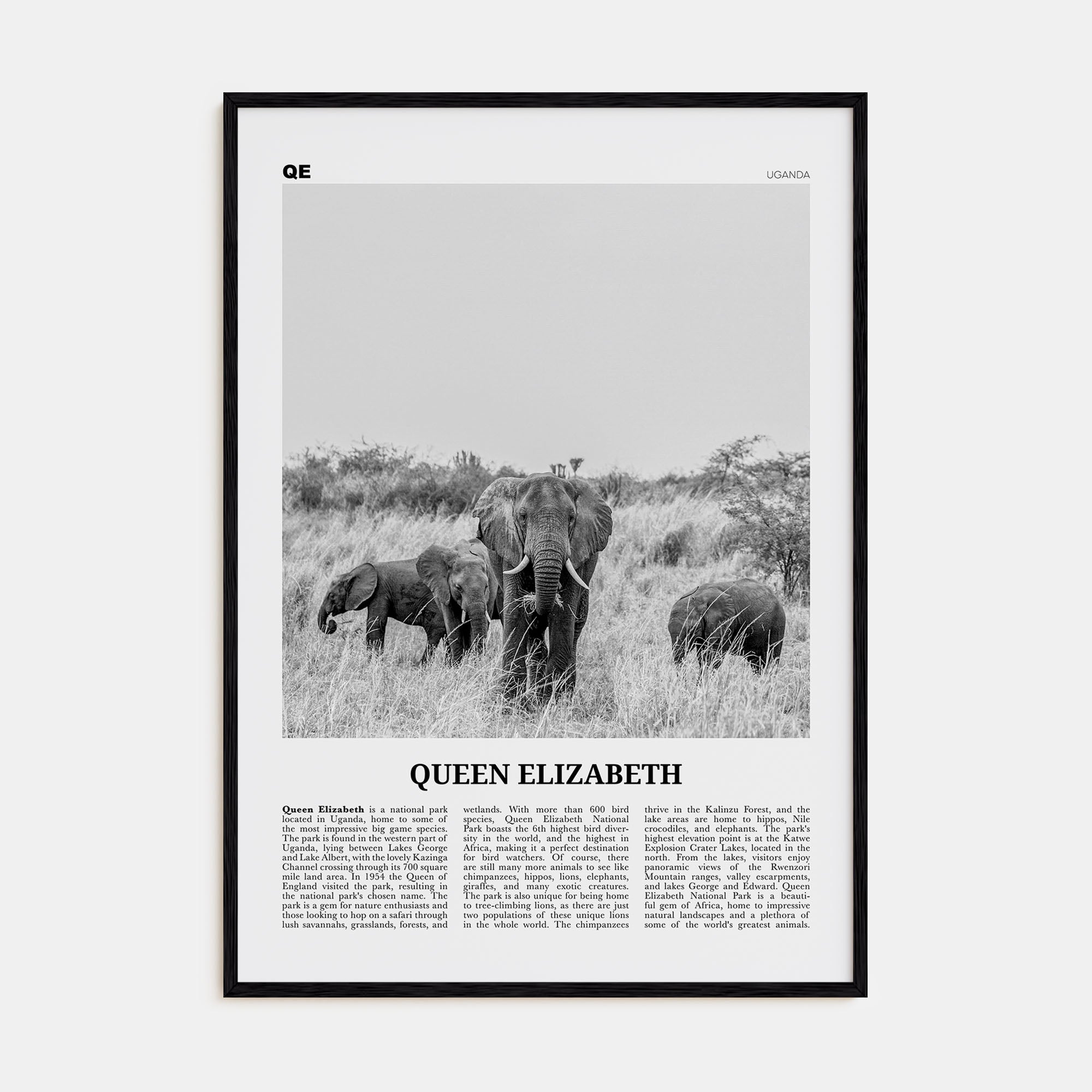 Queen Elizabeth National Park Travel B&W Poster