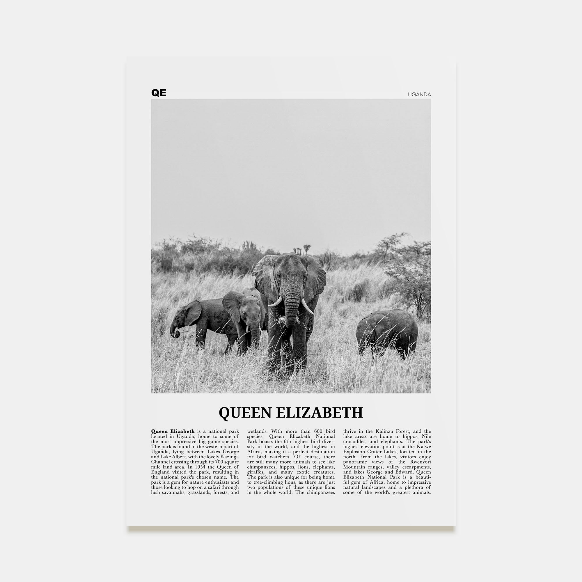 Queen Elizabeth National Park Travel B&W Poster