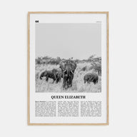 Queen Elizabeth National Park Travel B&W Poster