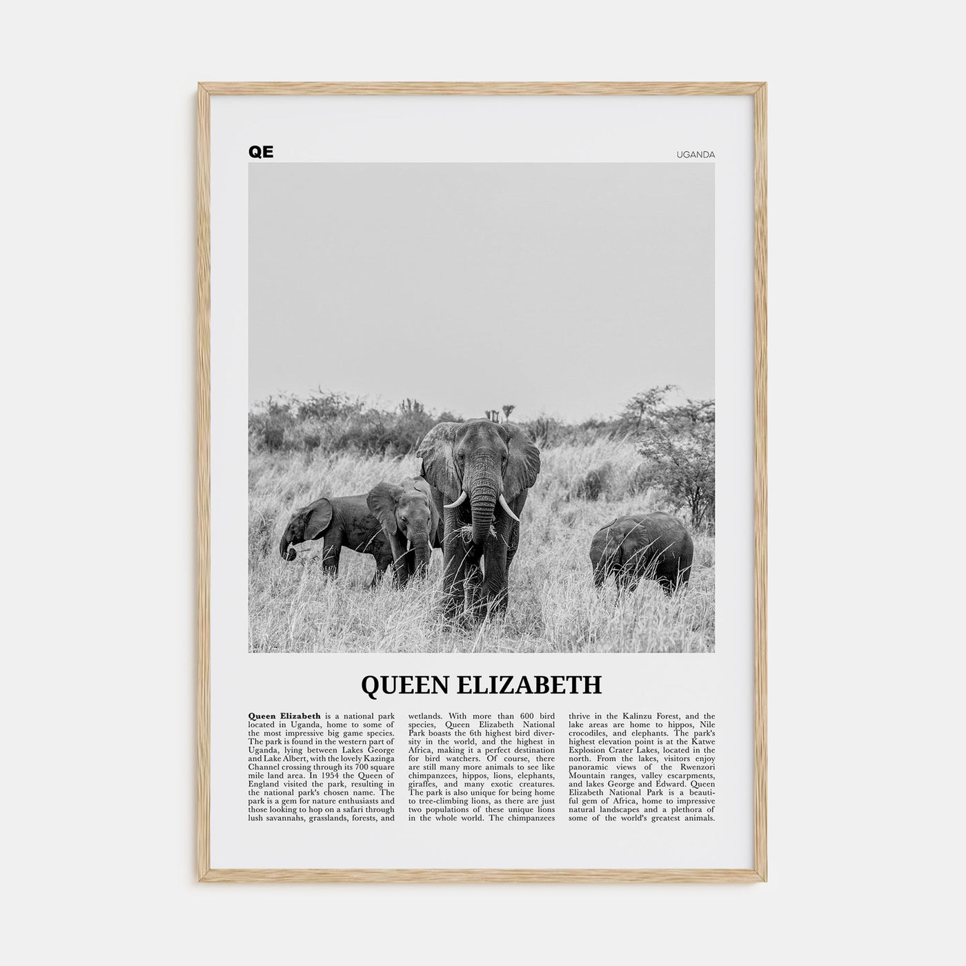Queen Elizabeth National Park Travel B&W Poster