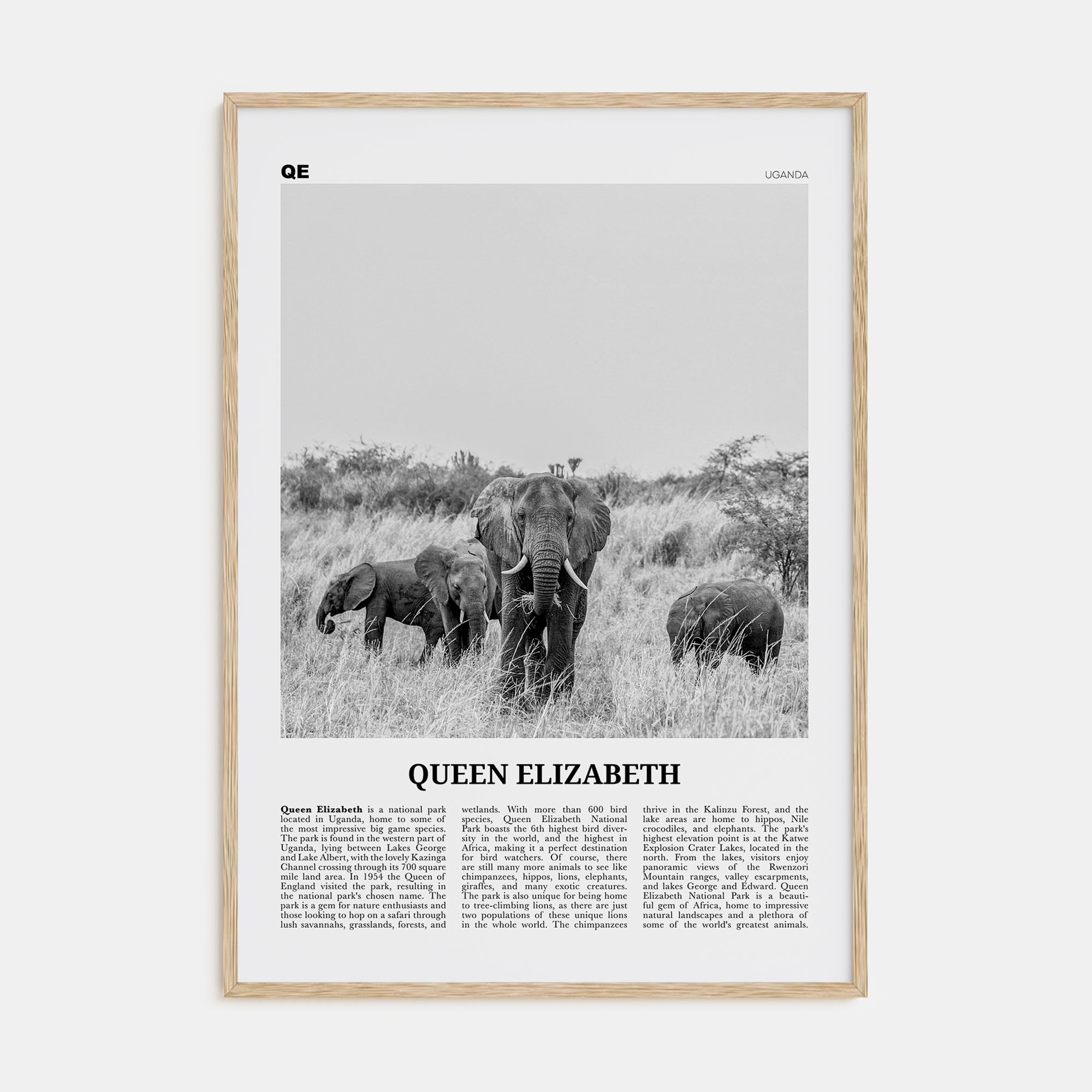 Queen Elizabeth National Park Travel B&W Poster