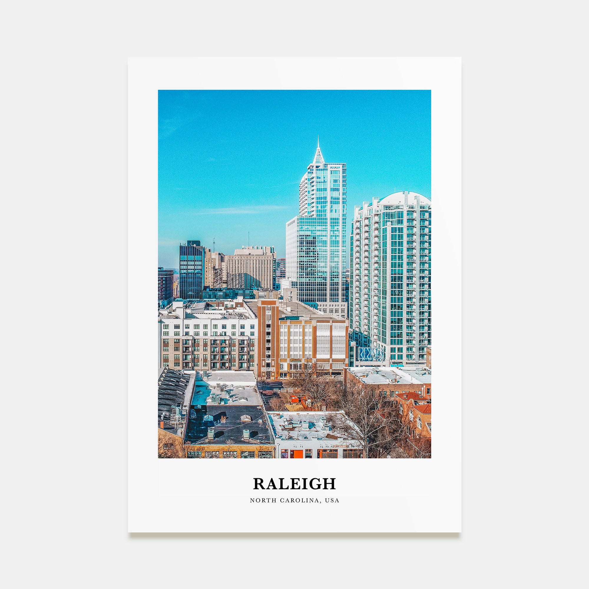 Raleigh Portrait Color Poster