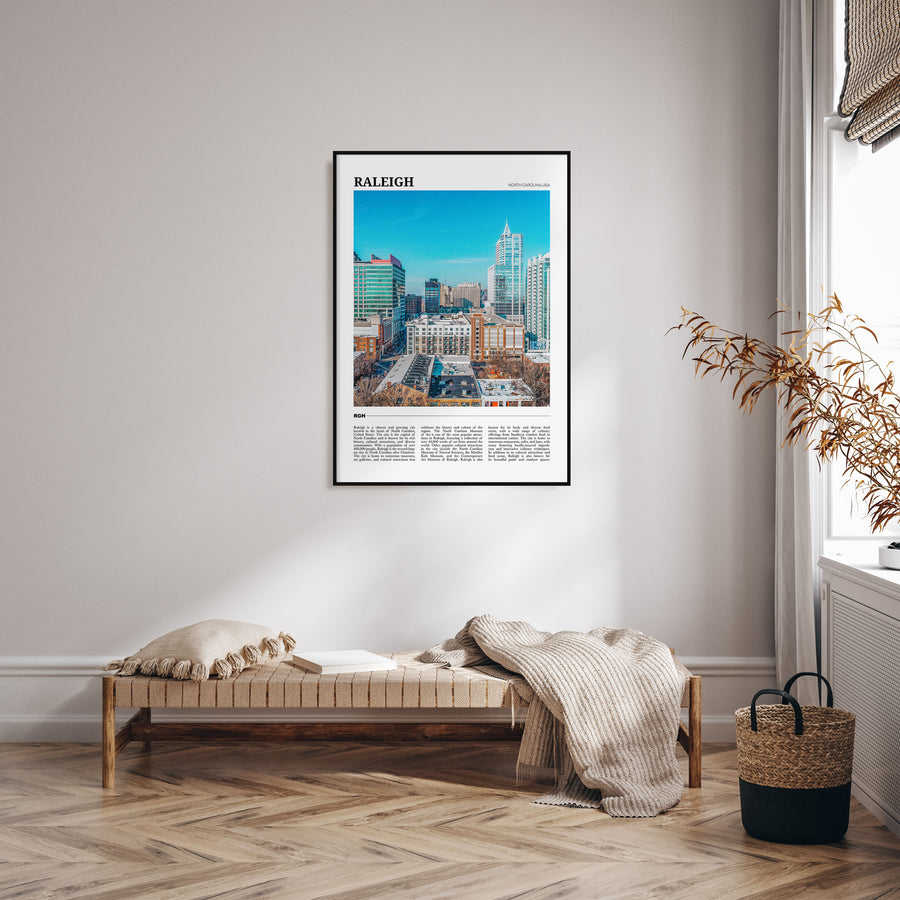 Raleigh Travel Color Poster