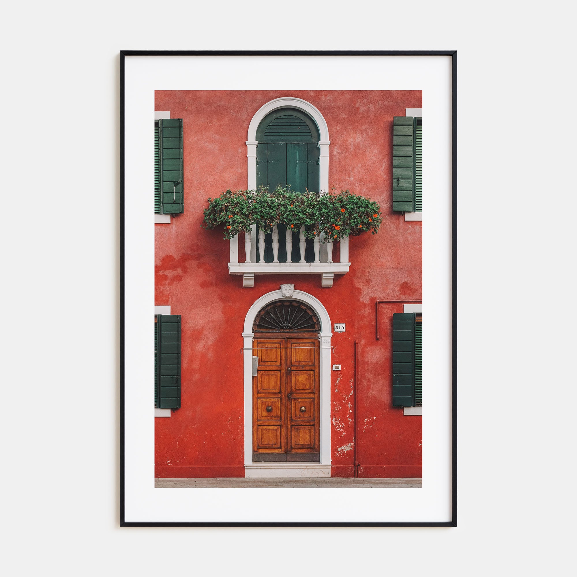 Red House Photo Color Poster