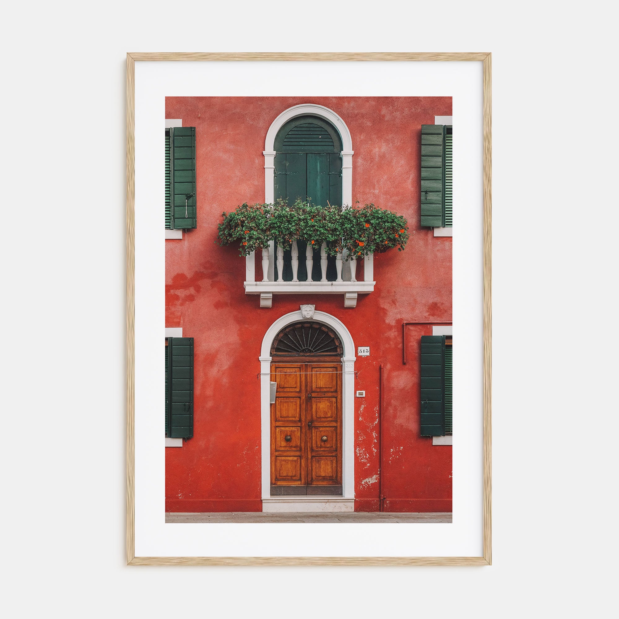 Red House Photo Color Poster