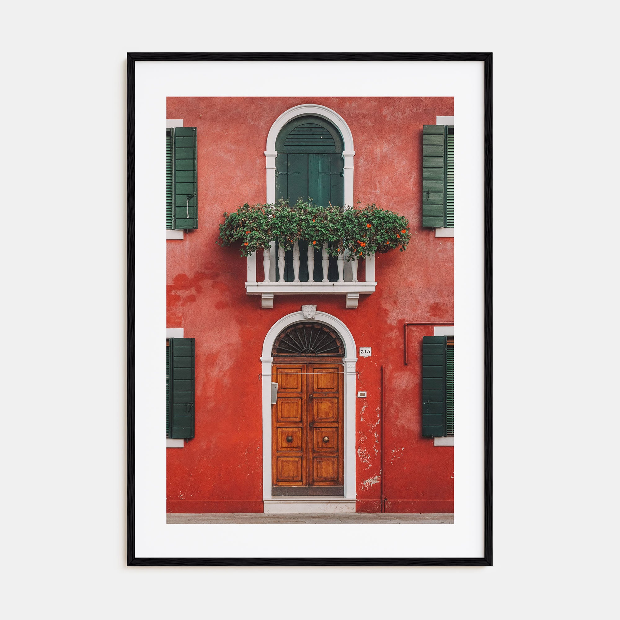 Red House Photo Color Poster