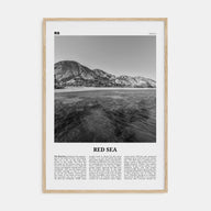 Red Sea Travel B&W Poster