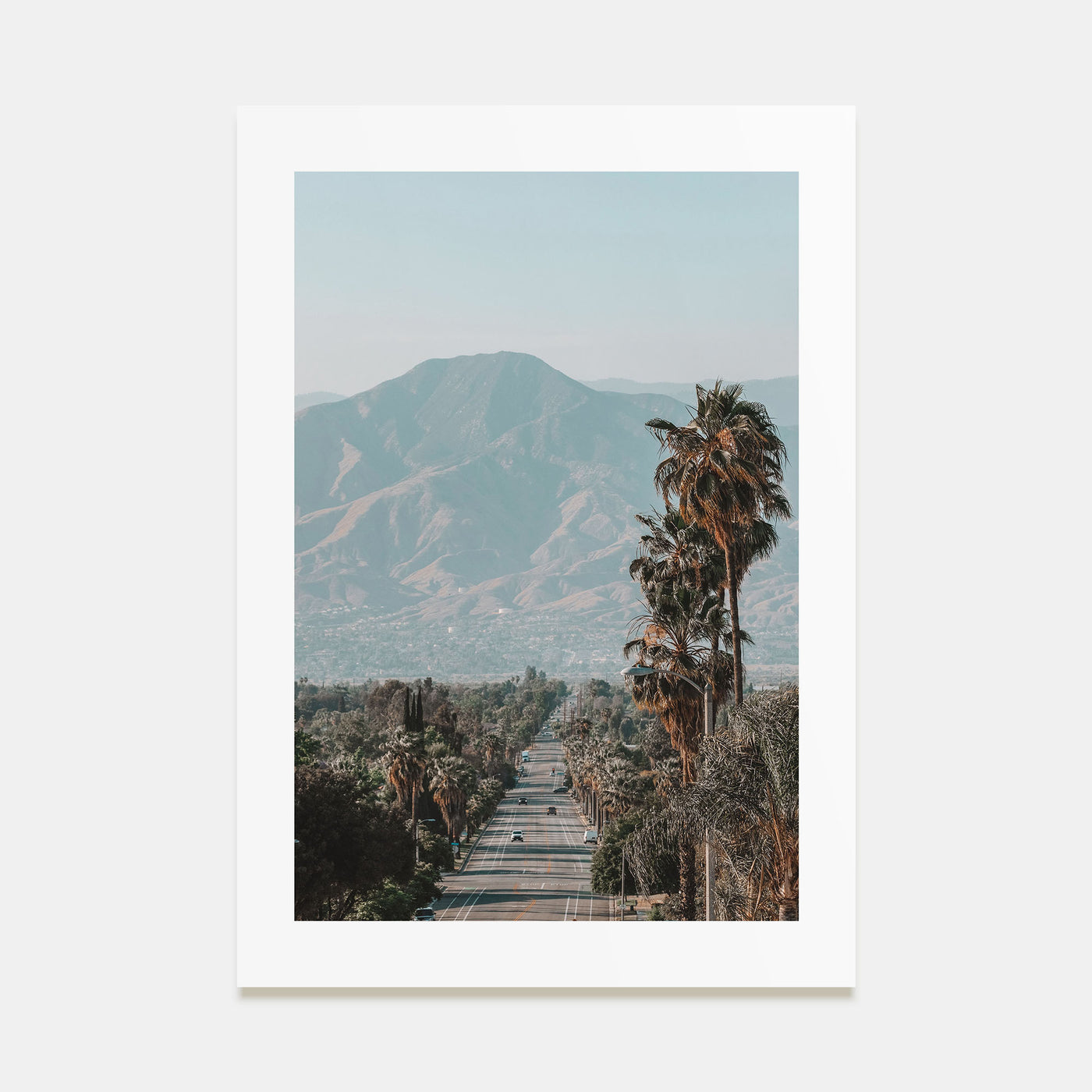 Redlands Photo Color Poster