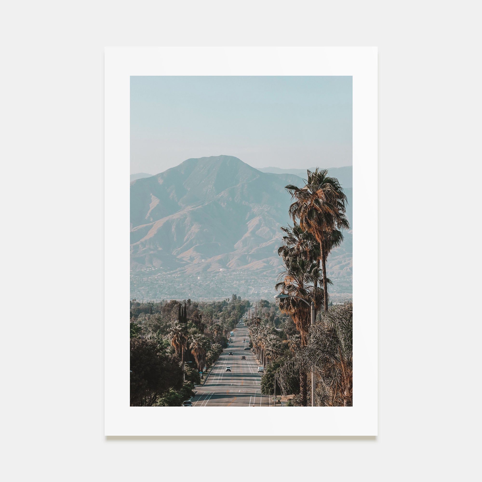 Redlands Photo Color Poster