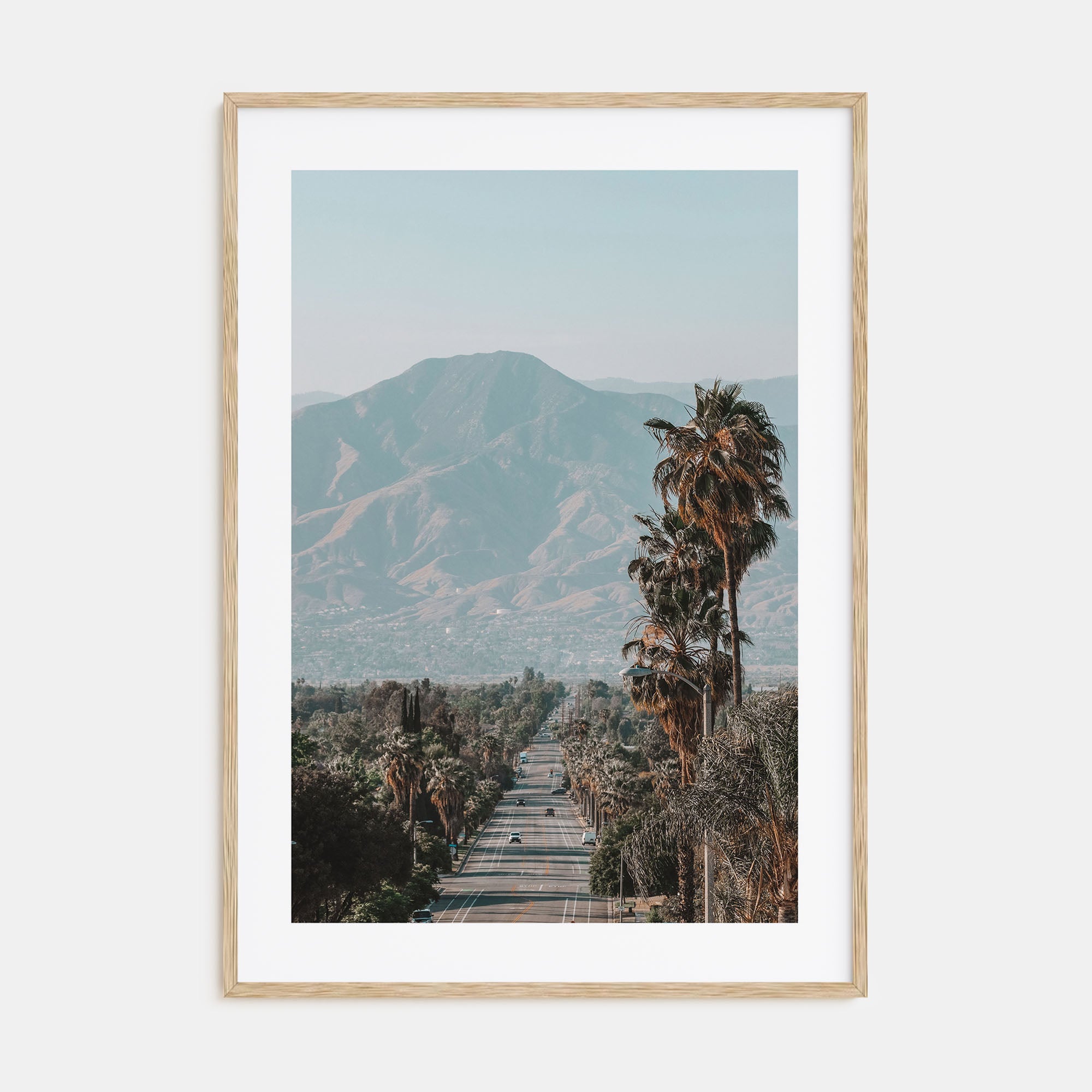 Redlands Photo Color Poster