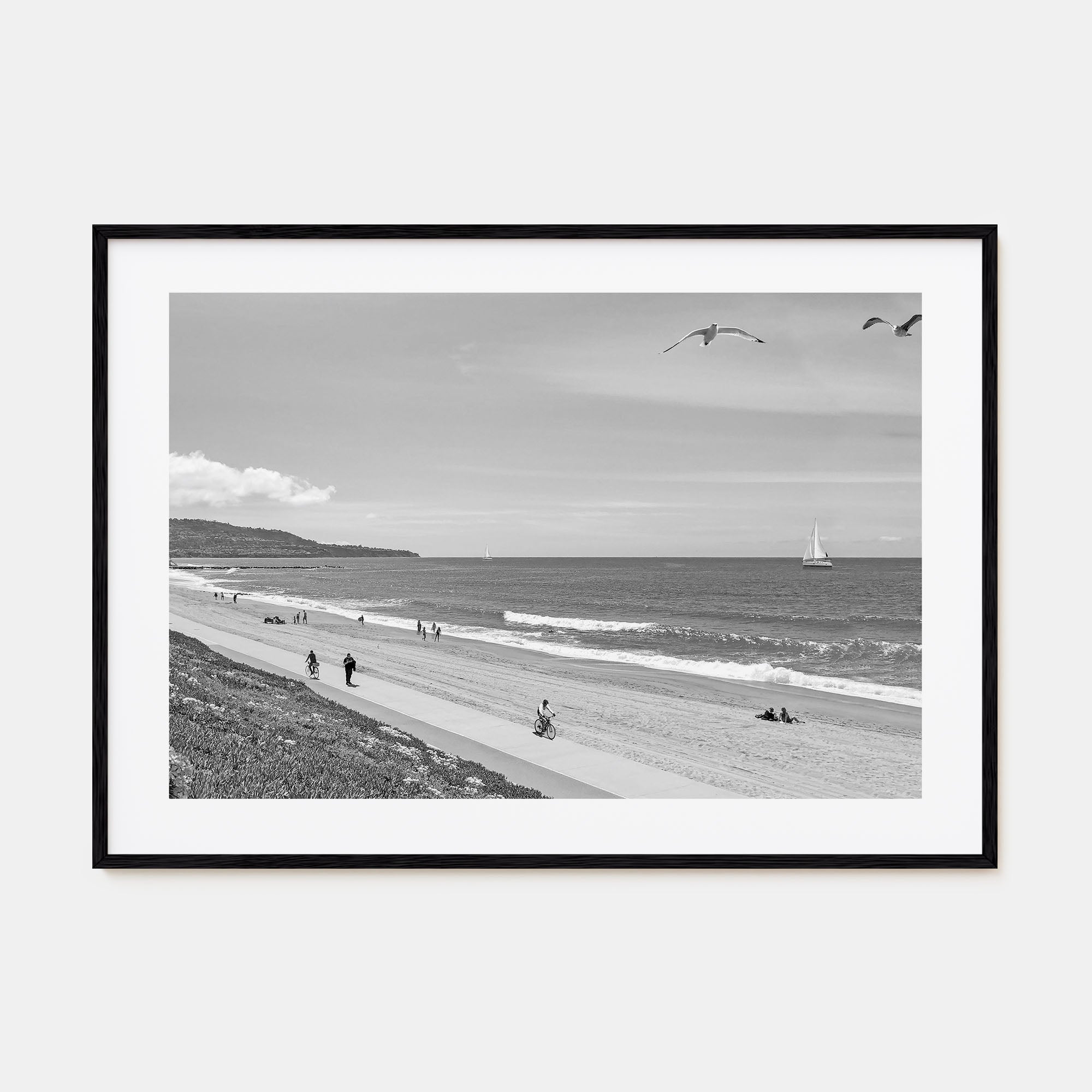 Redondo Beach Landscape B&W Poster