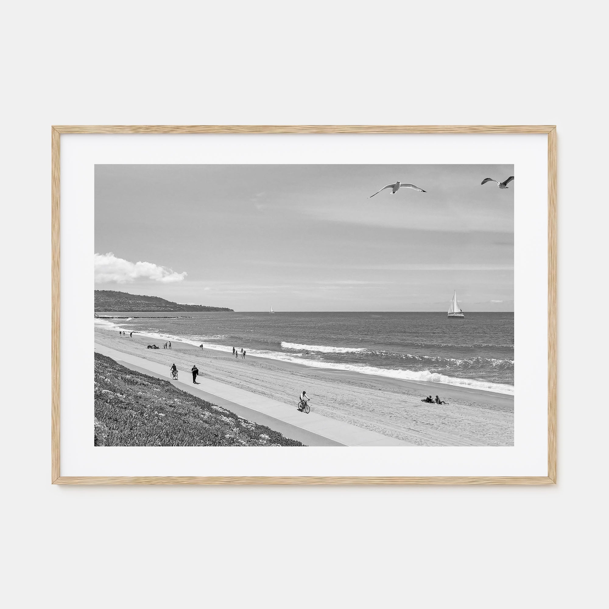 Redondo Beach Landscape B&W Poster
