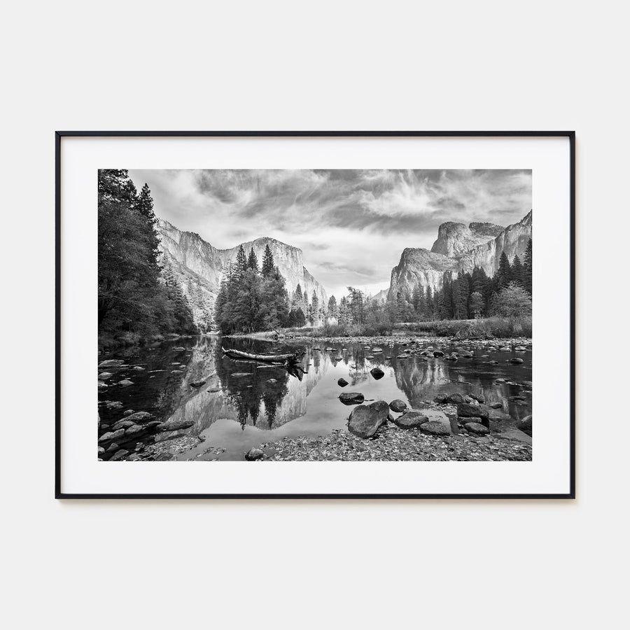 Redwood National Park Landscape B&W Poster