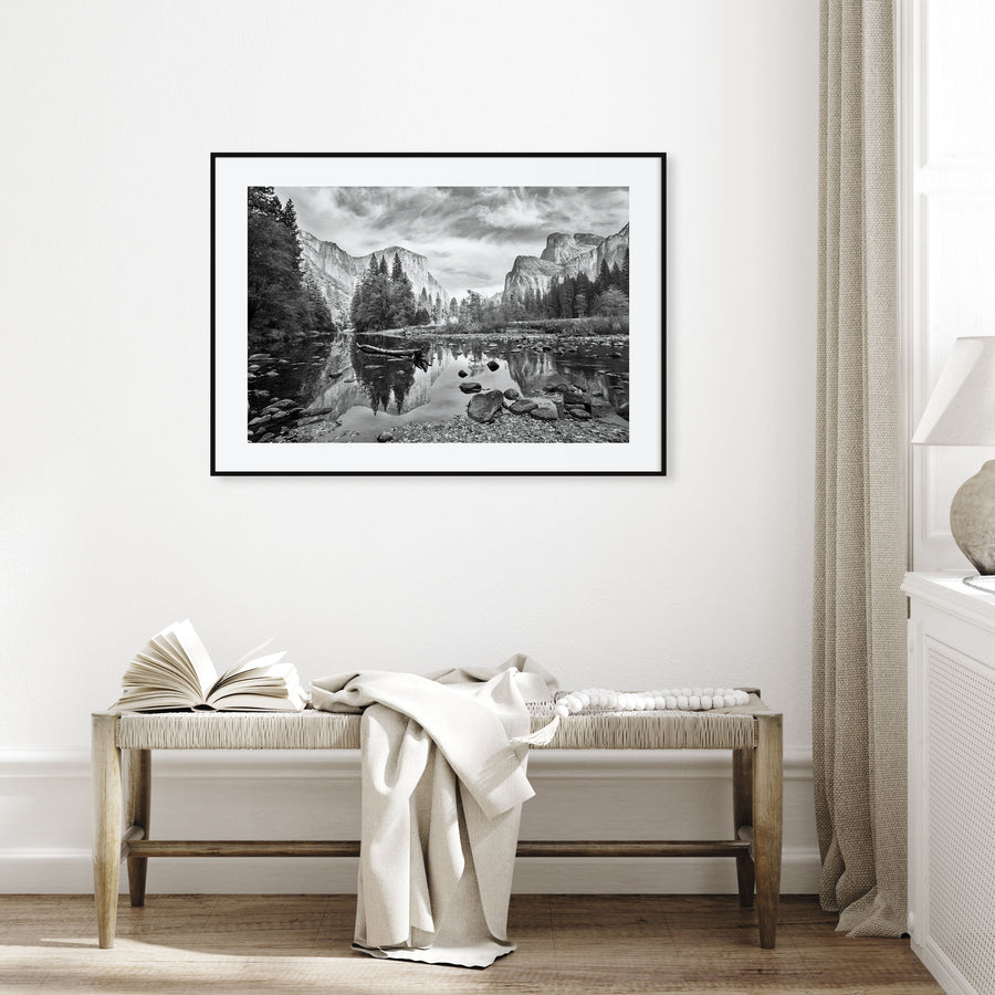 Redwood National Park Landscape B&W Poster