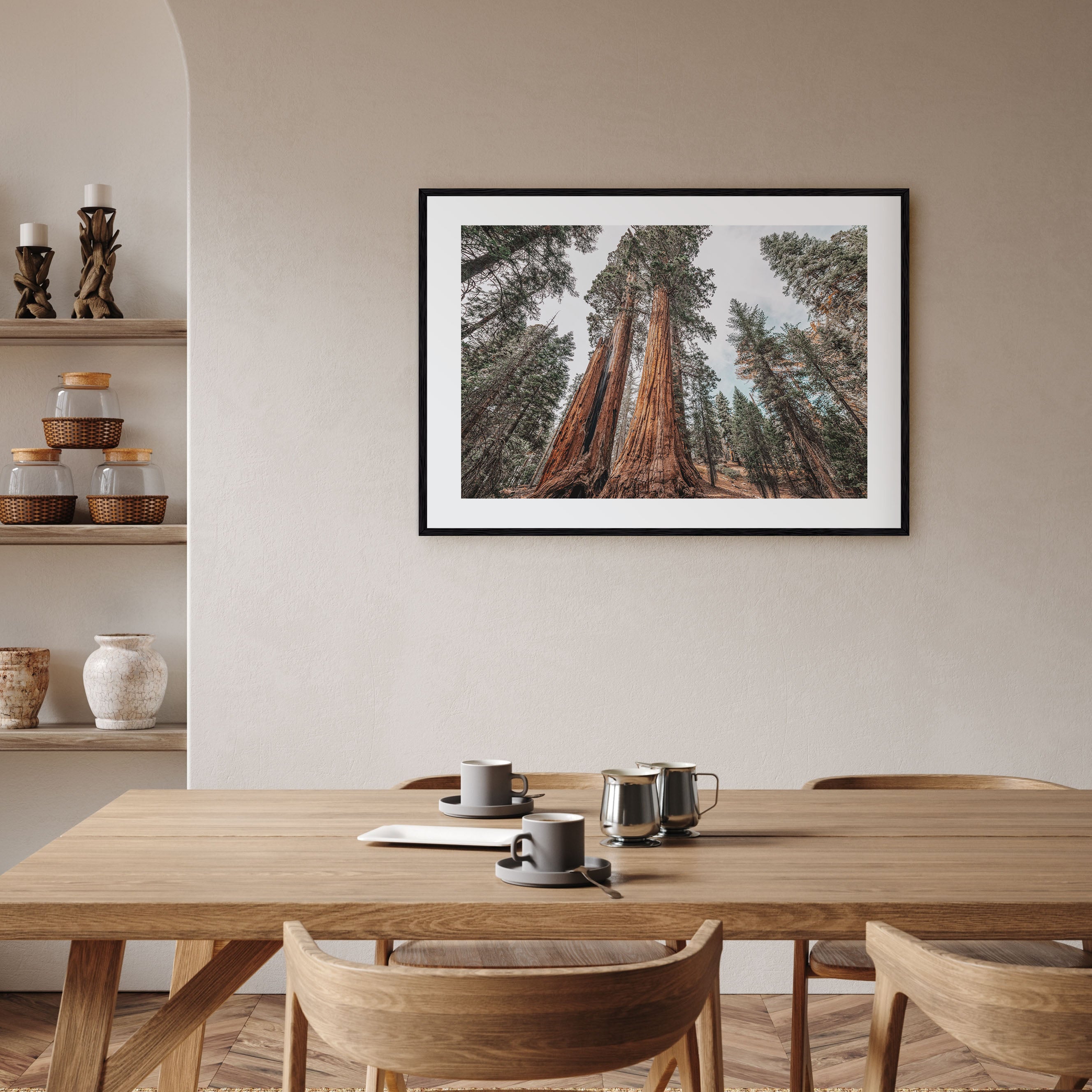 Redwood National Park Landscape Color Poster