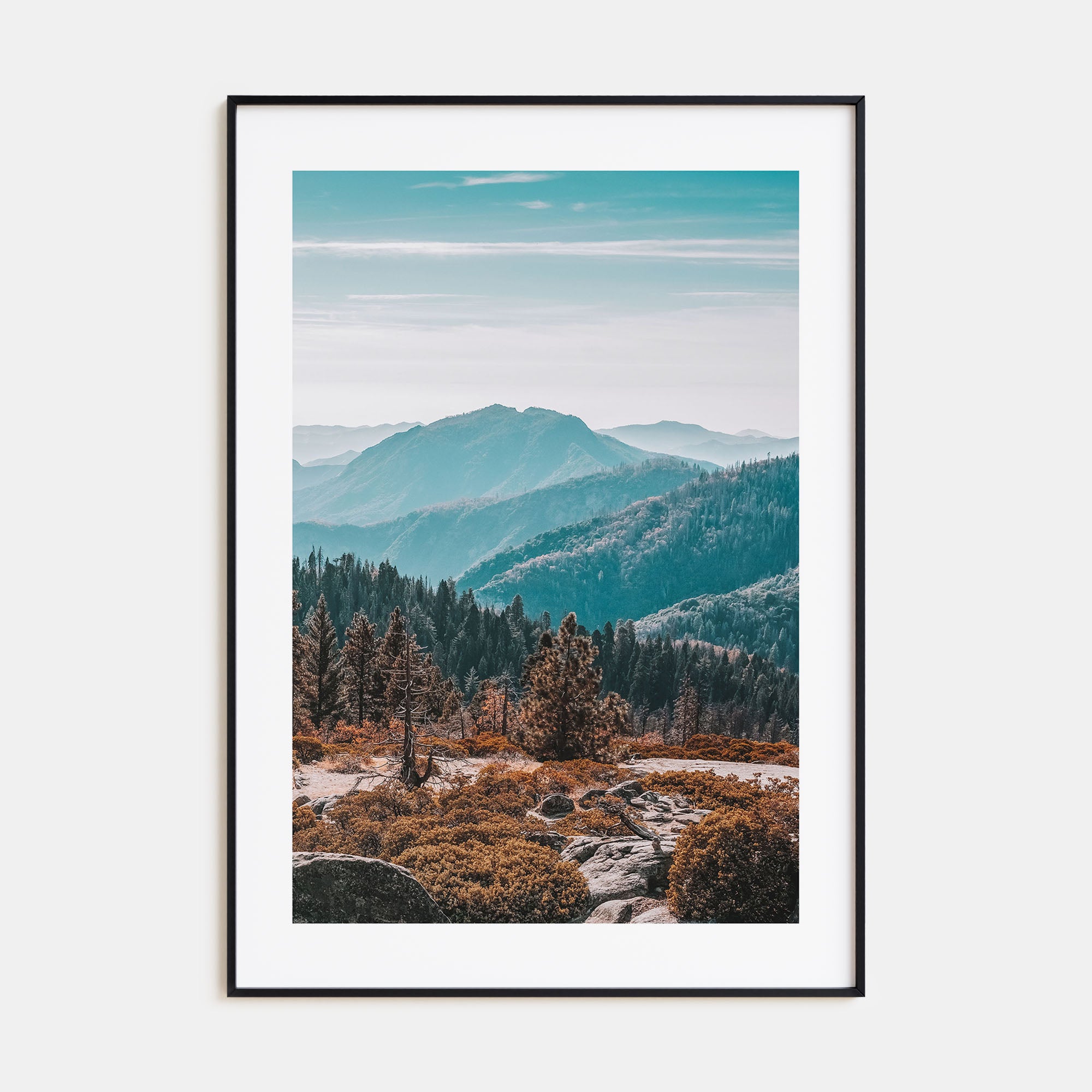 Redwood National Park Photo Color No 1 Poster