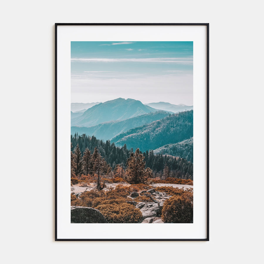 Redwood National Park Photo Color No 1 Poster
