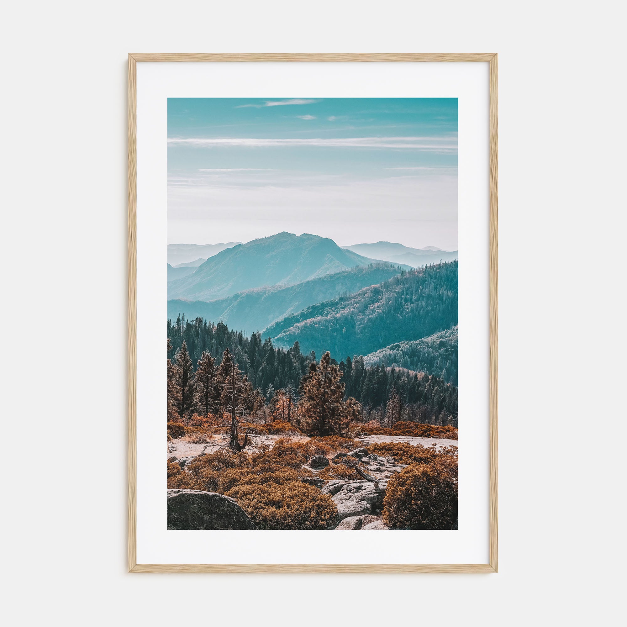 Redwood National Park Photo Color No 1 Poster