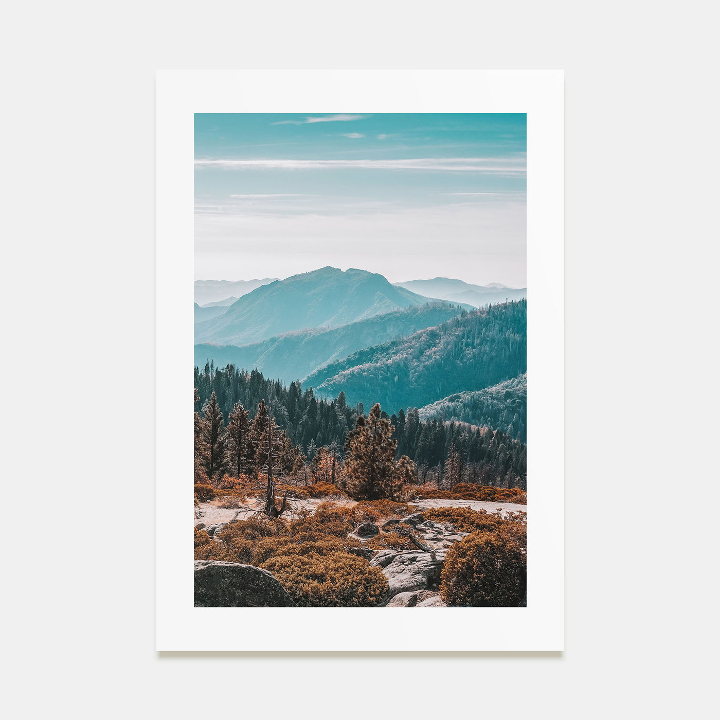 Redwood National Park Photo Color No 1 Poster