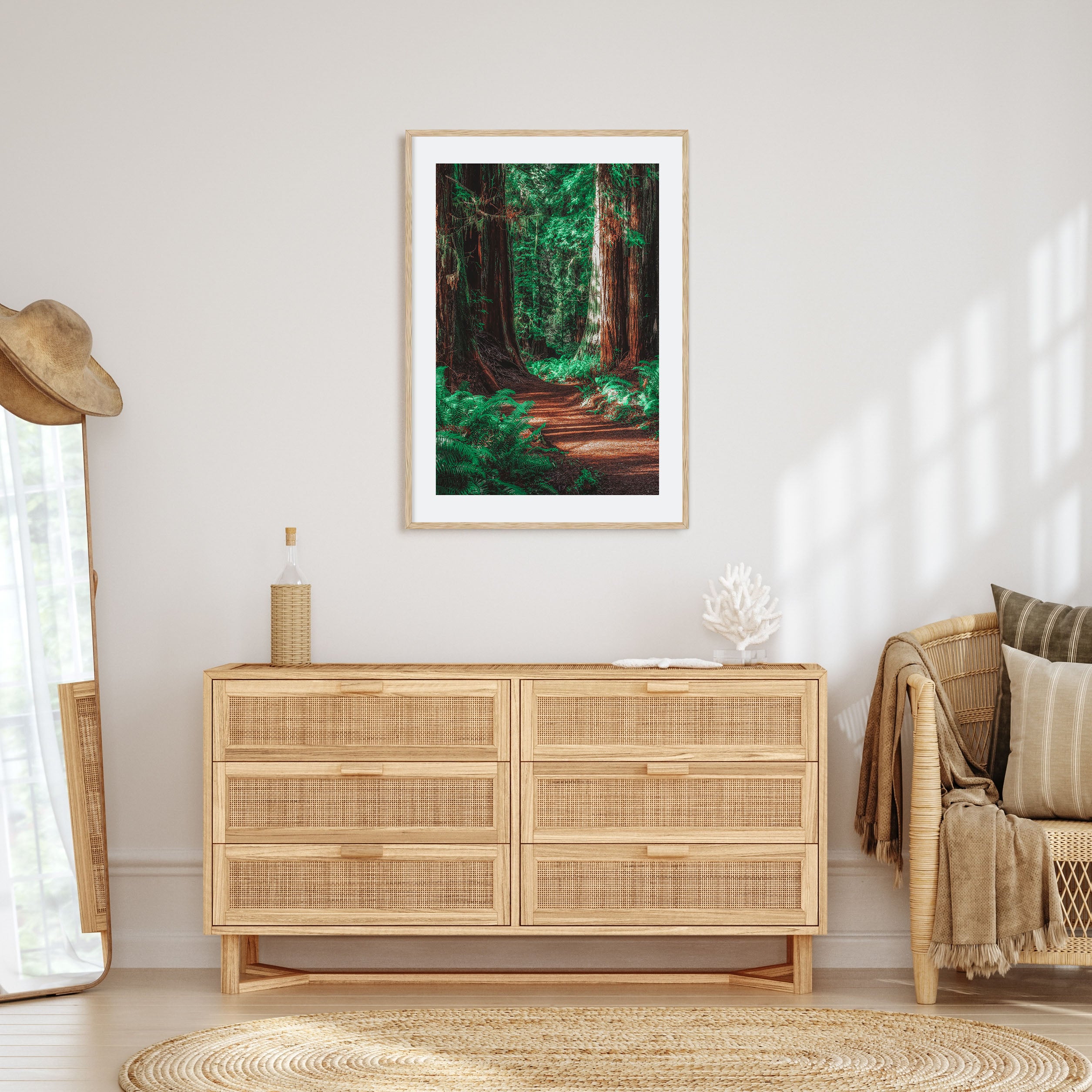 Redwood National Park Photo Color No 2 Poster