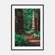 Redwood National Park Photo Color No 2 Poster