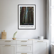 Redwood National Park Portrait Color Poster