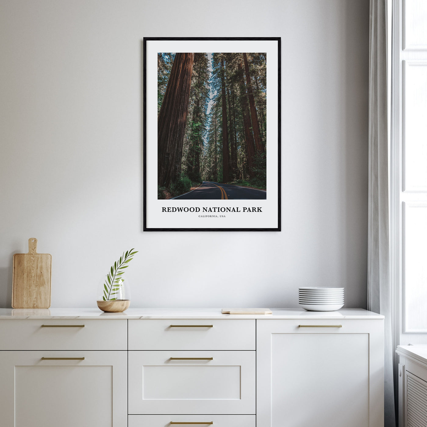 Redwood National Park Portrait Color Poster