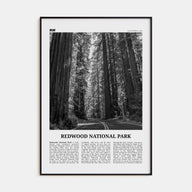 Redwood National Park Travel B&W Poster
