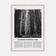 Redwood National Park Travel B&W Poster