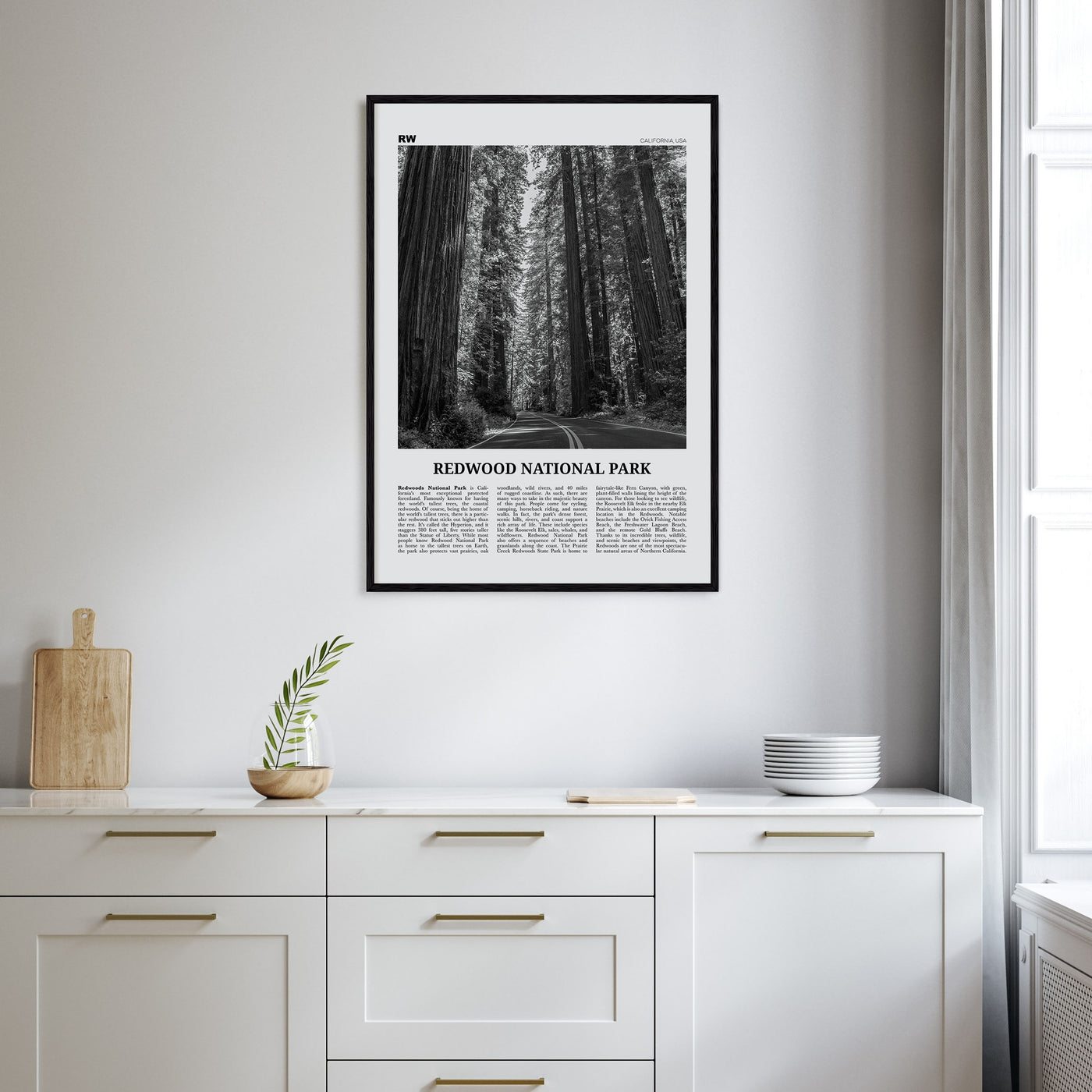 Redwood National Park Travel B&W Poster