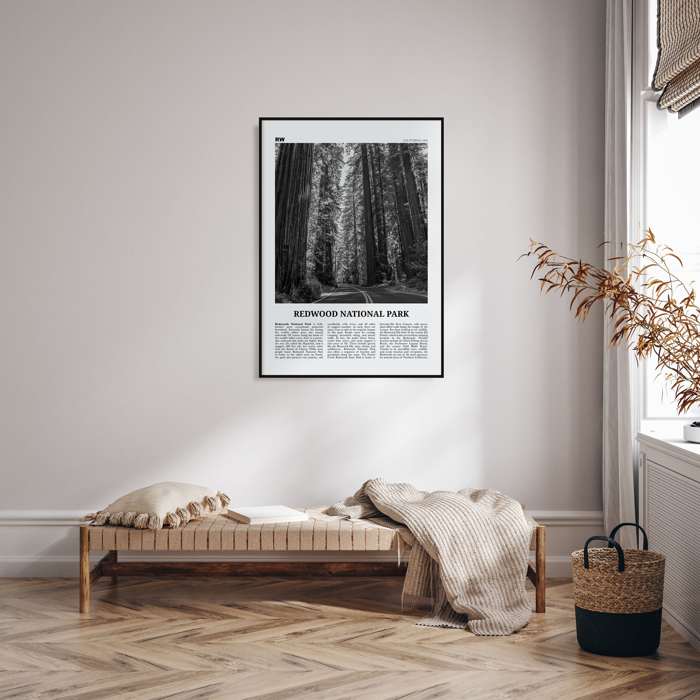 Redwood National Park Travel B&W Poster