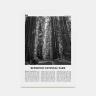 Redwood National Park Travel B&W Poster