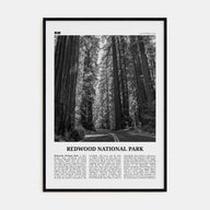 Redwood National Park Travel B&W Poster