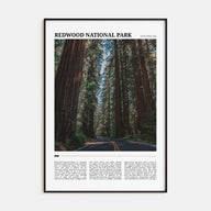 Redwood National Park Travel Color Poster