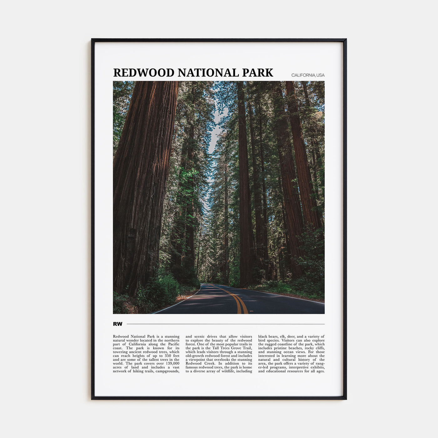 Redwood National Park Travel Color Poster