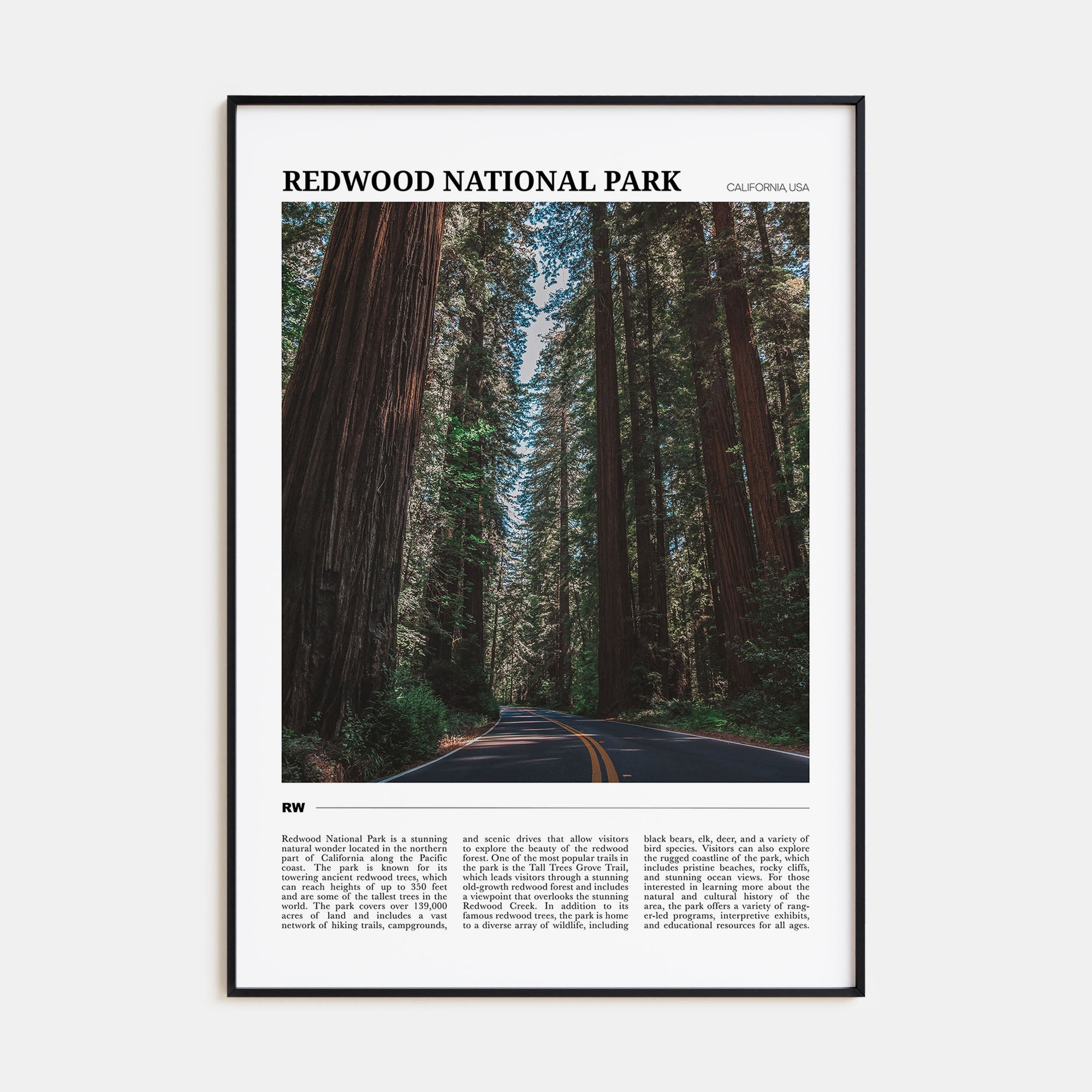 Redwood National Park Travel Color Poster