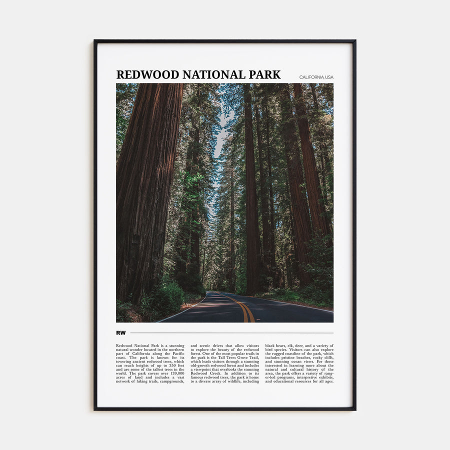 Redwood National Park Travel Color Poster