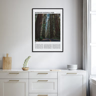 Redwood National Park Travel Color Poster