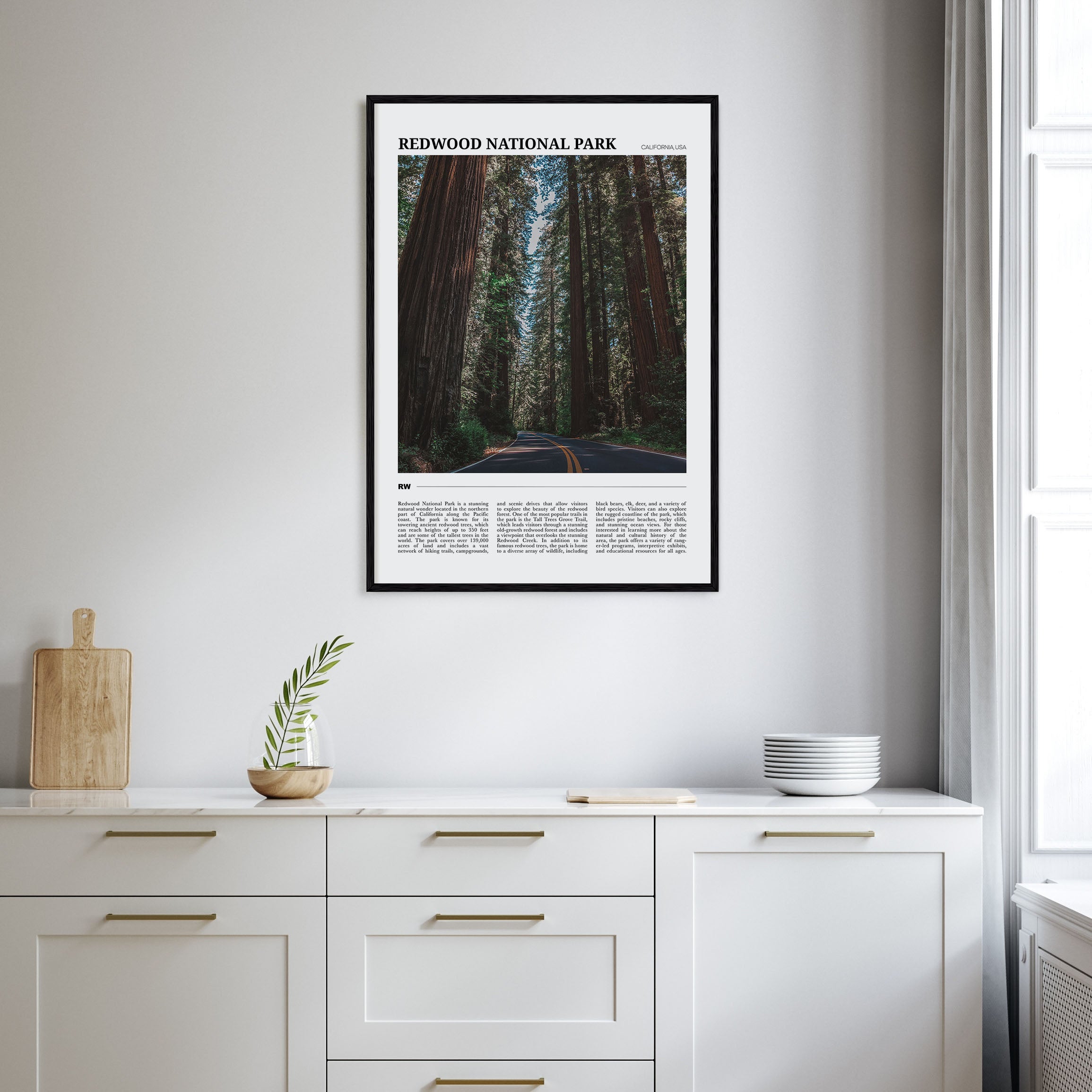 Redwood National Park Travel Color Poster