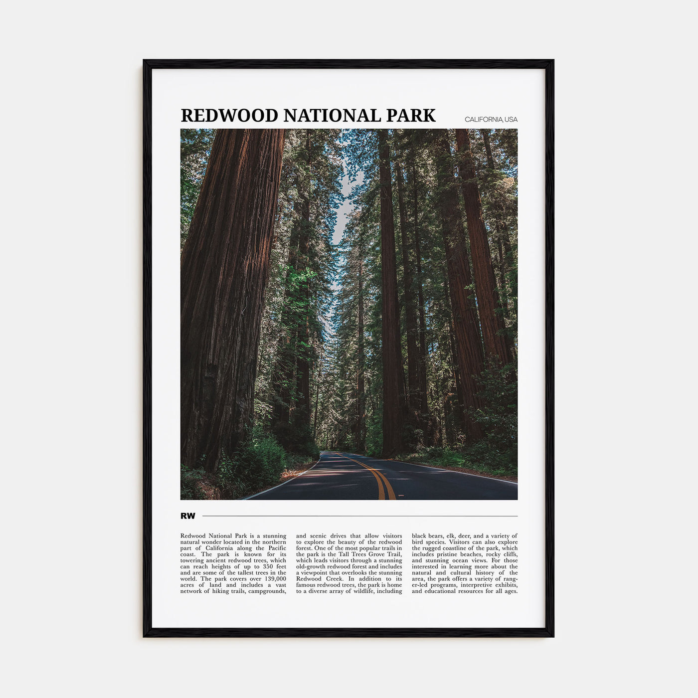 Redwood National Park Travel Color Poster