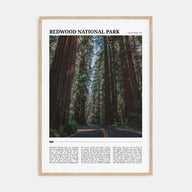 Redwood National Park Travel Color Poster