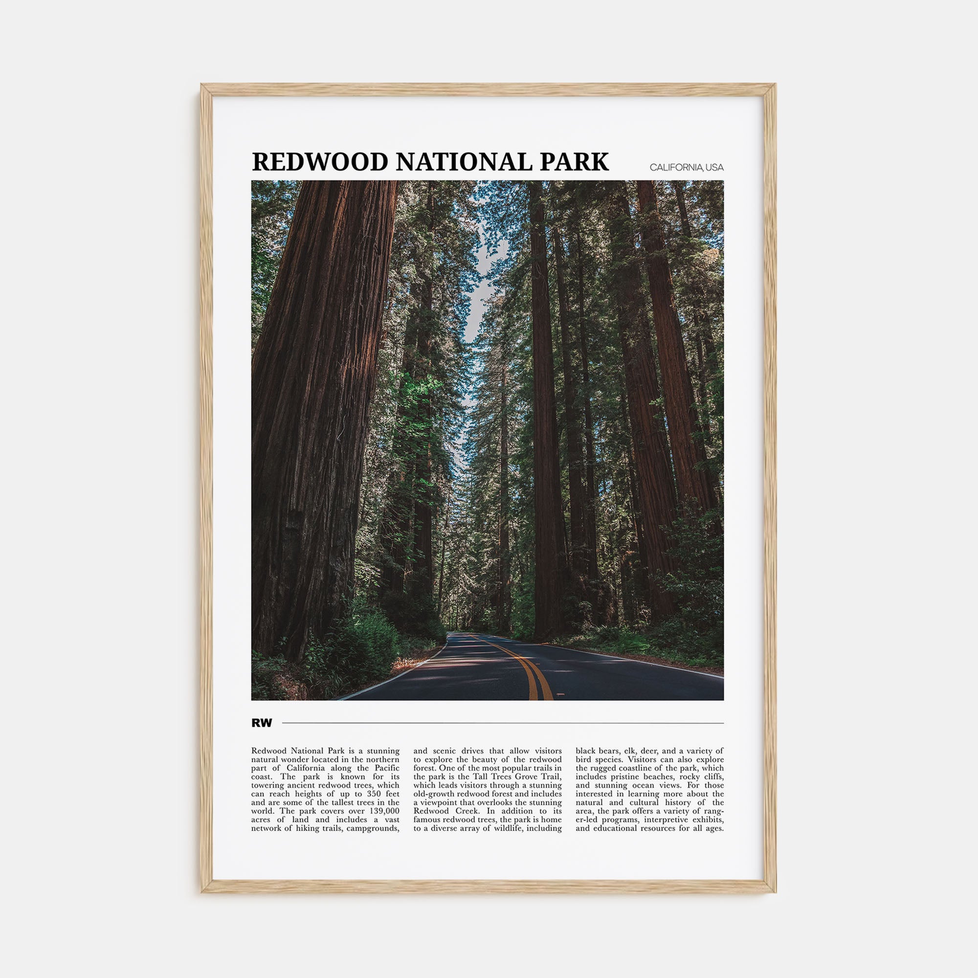 Redwood National Park Travel Color Poster