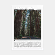 Redwood National Park Travel Color Poster