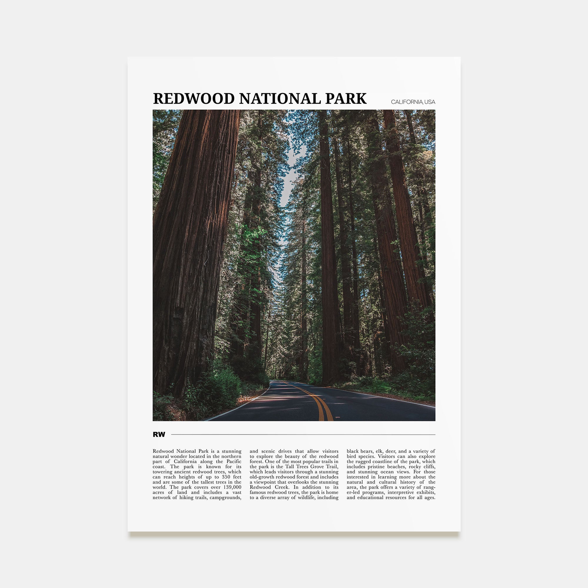 Redwood National Park Travel Color Poster