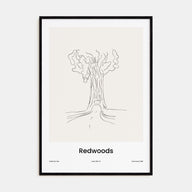 Redwoods Drawn Poster